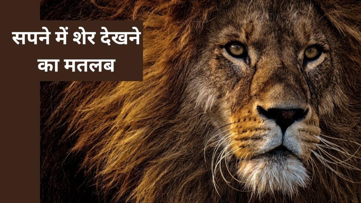 Sapne me Sher Dekhna