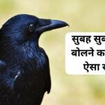 सुबह कौवा का बोलना