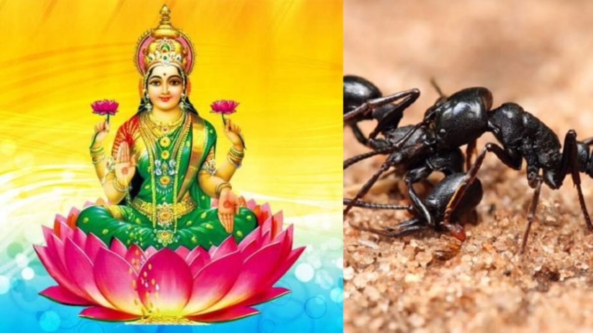 Astro Tips: घर में गरीबी होने का संकेत