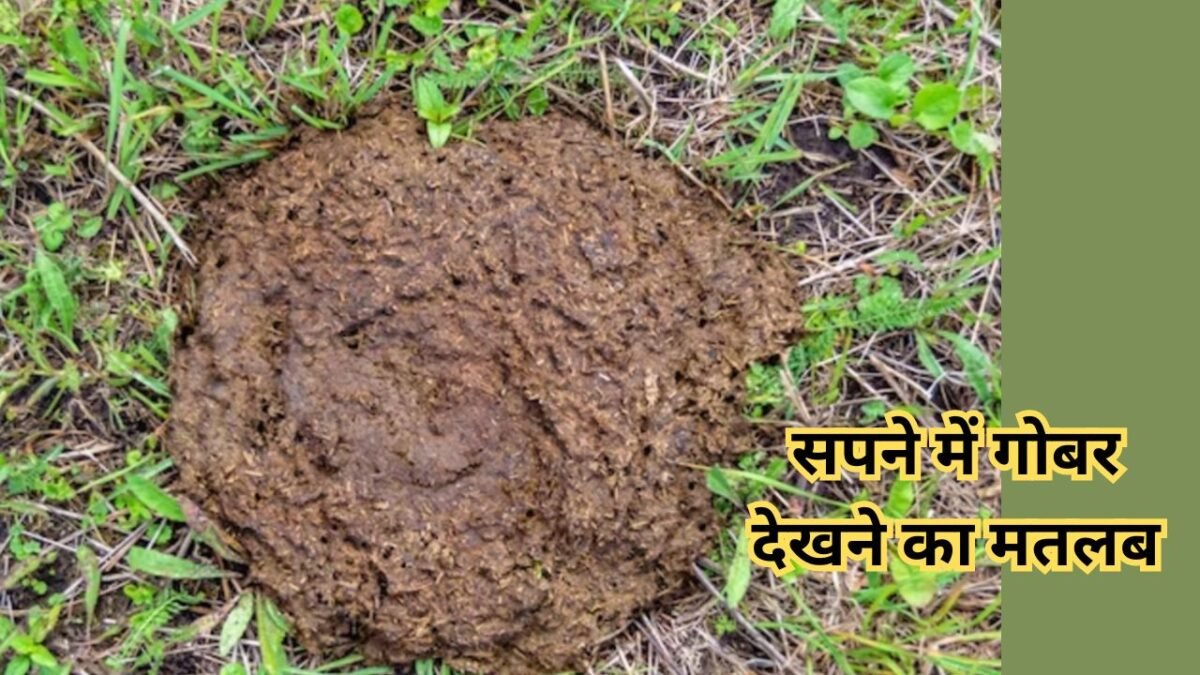 Sapne me Gobar Dekhna