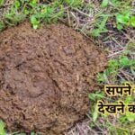 Sapne me Gobar Dekhna