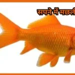 Sapne me Machli Dekhna