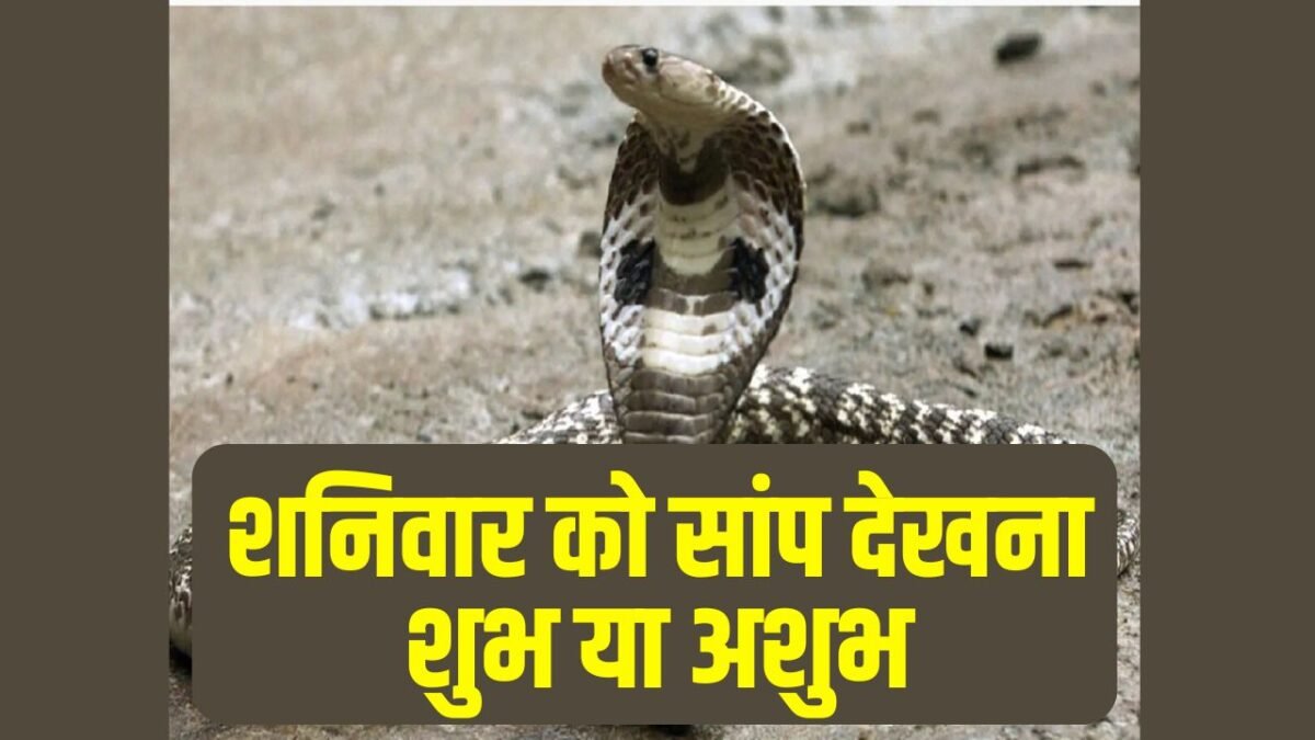 शनिवार को सांप देखना