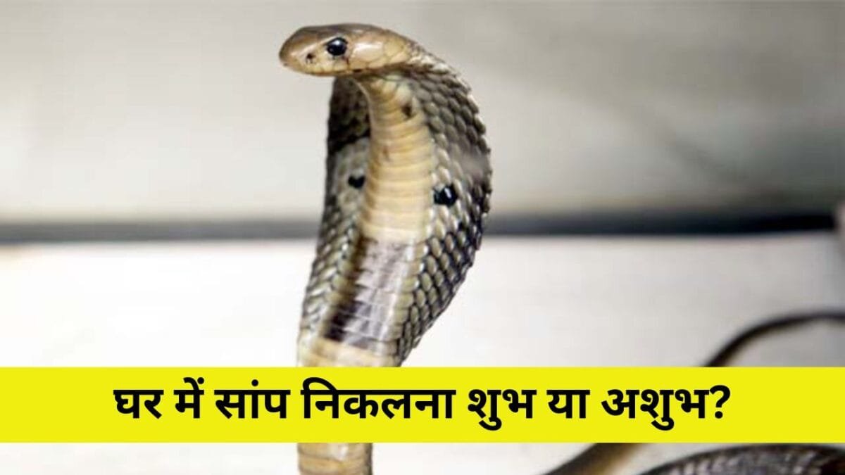 घर में सांप निकलना शुभ होता है या अशुभ?