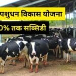 मुख्यमंत्री पशुधन विकास योजना