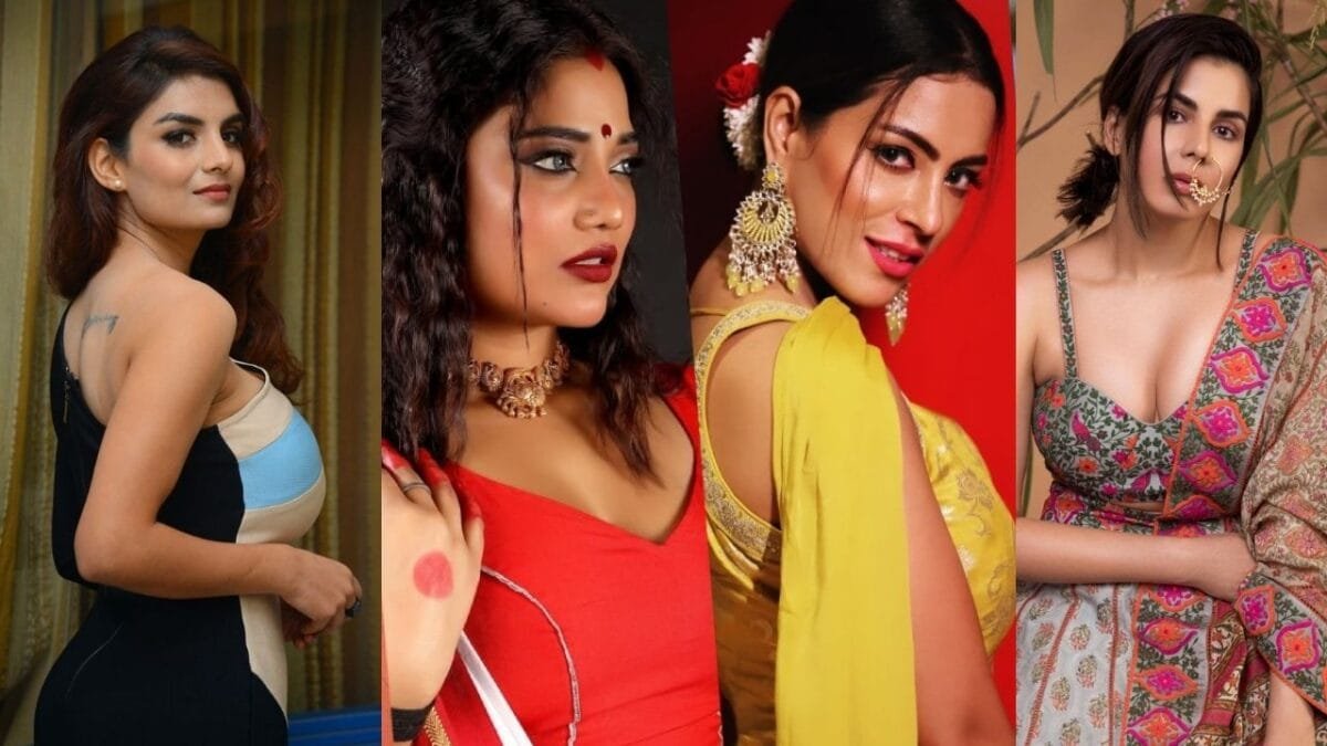 Ullu Web Series Actress Income